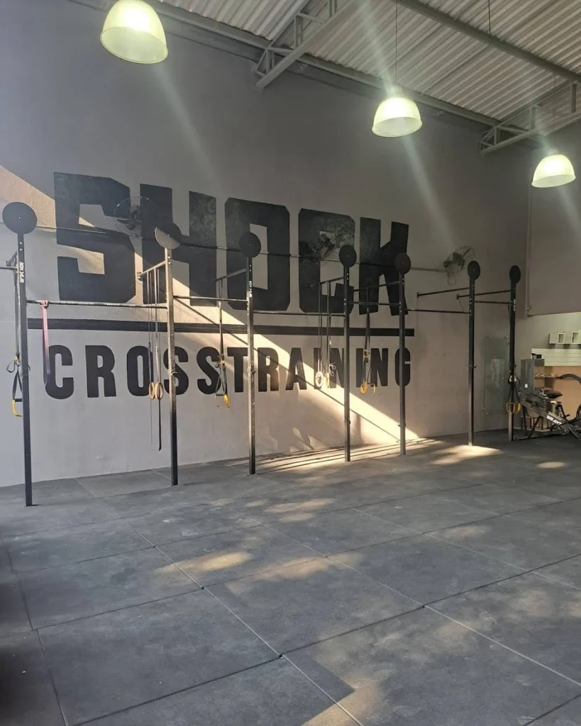 Crosfit 12crossSHOCK