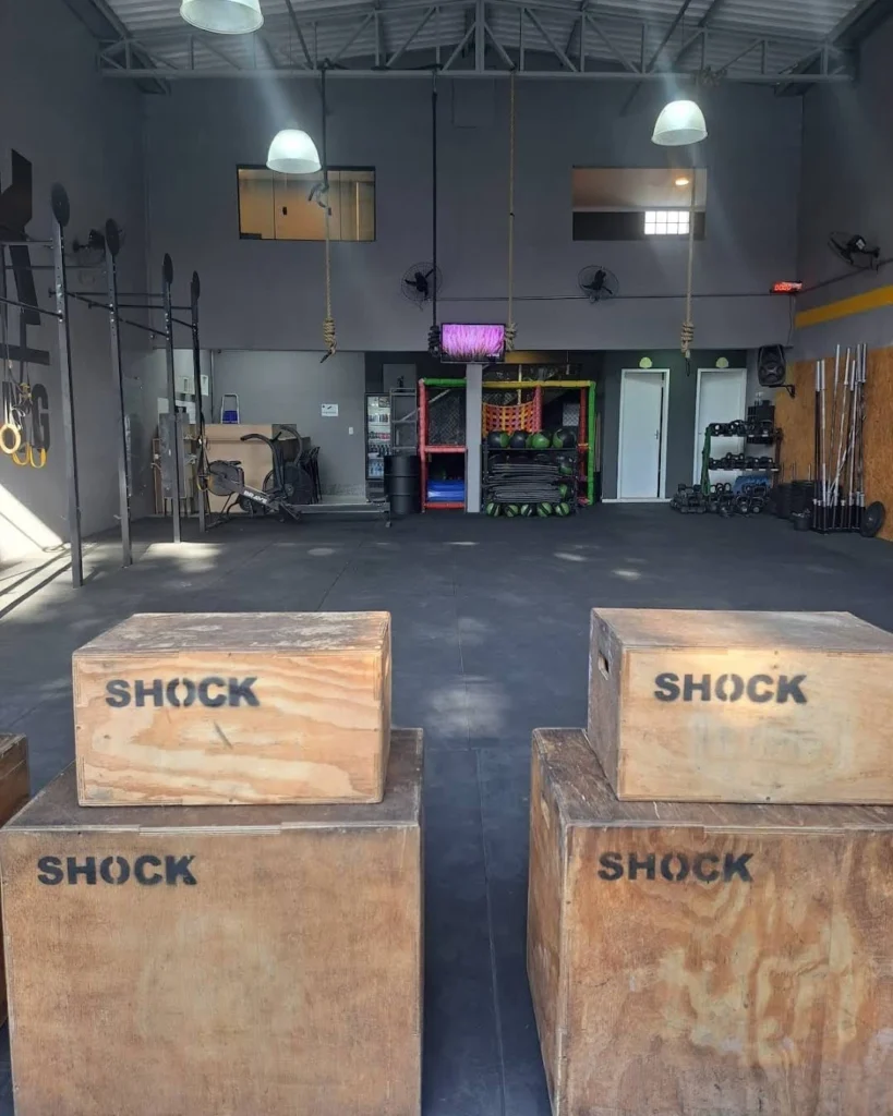 Crosfit 13crossSHOCK